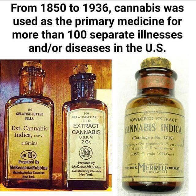 Cannabis cure